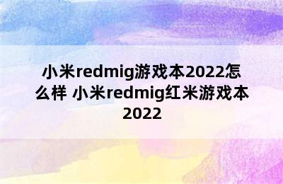 小米redmig游戏本2022怎么样 小米redmig红米游戏本2022